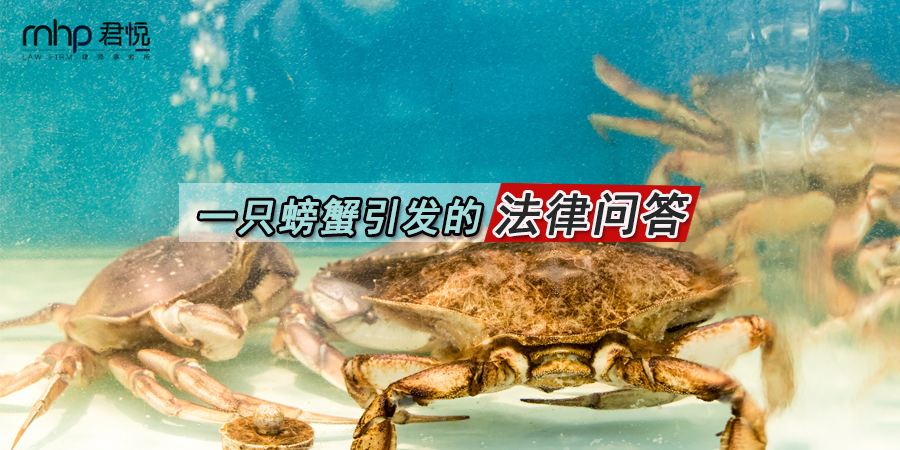 未标题-1.png