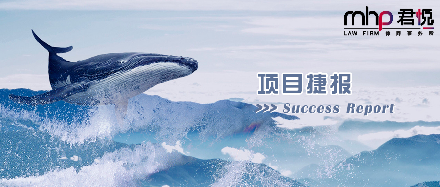 摄图网_500562393_wx_游荡的鲸鱼（企业商用）.png